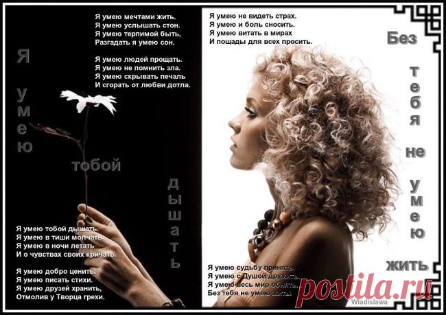 Без тебя не умею жить - обсуждение произведений современной поэзии и прозы Без тебя не умею жить - Клуб любителей современной прозы и поэзии