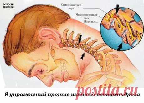 Хитрости жизни