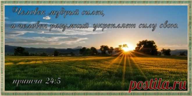 Плейкаст «Притчи Соломона..( 24)»
