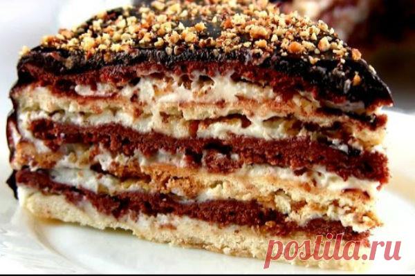 Изумительный торт » Мишка» - Журнал Советов Торт «Мишка» не займет у вас много времени: он простой в приготовлении. Торт получается в меру сладкий, нежный, а орешки придают лакомству оригинальности.. Когда я была маленькая, моя мама часто готовила мне торт «Мишка на севере». Вкус детства я помню и сейчас: нежные коржи со сметанным кремом — это райское наслаждение. Сейчас такой тортик я […]