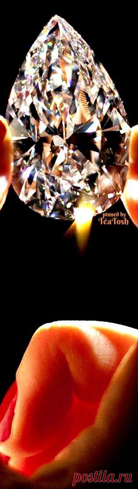 ❇Téa Tosh❇ She just wants…& SHE can have anything!