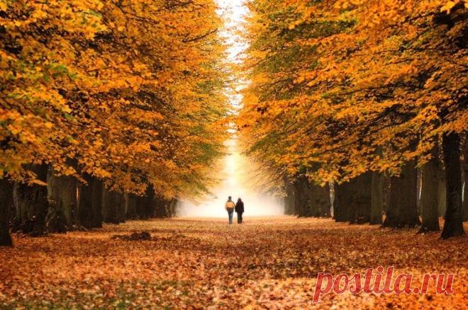 Пока мы живы, можно всё исправить, Всё осознать, раскаяться, простить. Врагам не мстить, любимым не лукавить, Друзей, что оттолкнули, возвратить. Пока мы живы, можно оглянуться, Увидеть путь, с которого сошли. От страшных снов очнувшись, оттолкнуться От пропасти, к которой подошли. Пока мы живы... Многие ль сумели Остановить любимых, что ушли? Мы их простить при жизни не успели, И попросить прощенья не смогли... Когда они уходят в тишину, Туда, откуда точно нет возврата, Порой хватает…