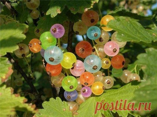 КАК ВЛИЯЕТ ЦВЕТ ПИЩИ НА БОЛЕЗНИ 
1. Продукты белого цвета — молоко и молочные продукты, рис, чеснок, белокочанная капуста — успокаивают, снимают раздражительность и выводят через почки токсичные вещества. 
 
2. Зеленые продукты (брокколи, листовые салаты, зеленый горошек, зеленый перец) положительно влияют на мозговую деятельность, снимают нервное напряжение. Хлорофилл, который производится в зеленых растениях под воздействием солнечной энергии, стимулирует образование полезных красных кровяных