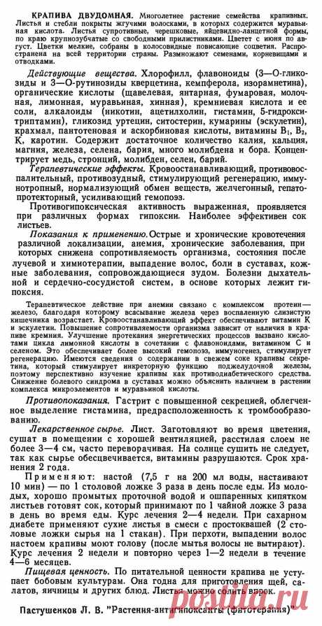 Крапива двудомная