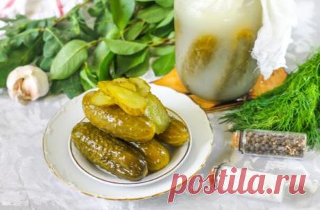 Квашеные огурцы с горчицей - Home-Cook.Net