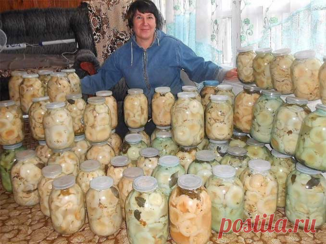 Лучшие рецепты засолки грибов Многие хозяйки для заготовки грибов на зиму выбирают именно грузди, потому что именно эти грибы получаются особенно вкусными. И чтобы услышать от любимого, какая Вы у него умница и красавица, мы предлагаем Вам лучшие рецепты засолки груздей.