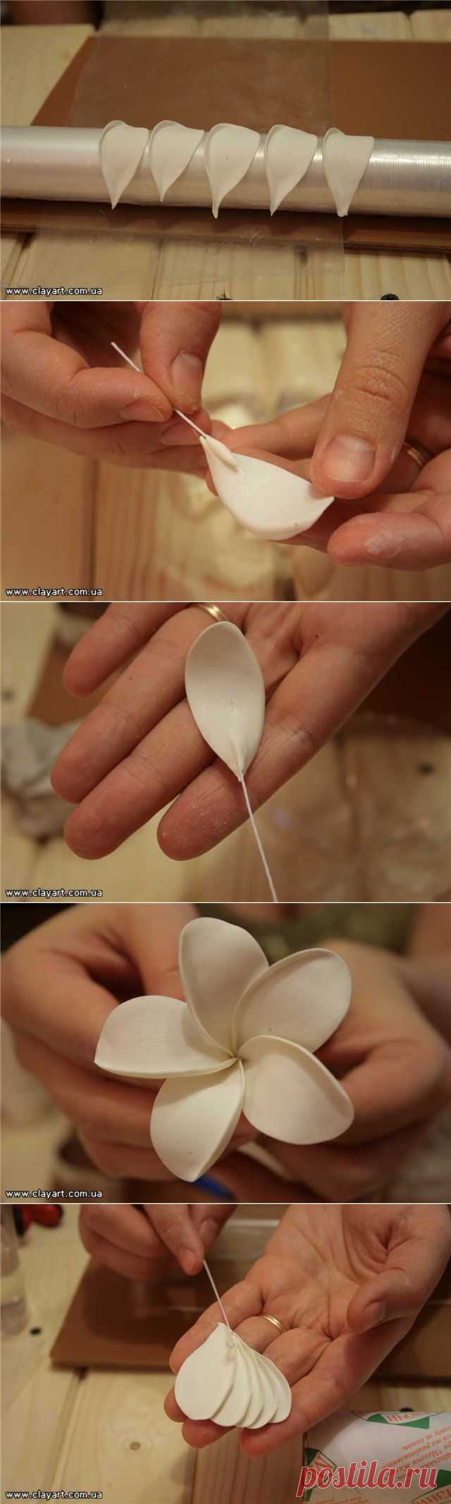 Плюмерия из холодного фарфора.