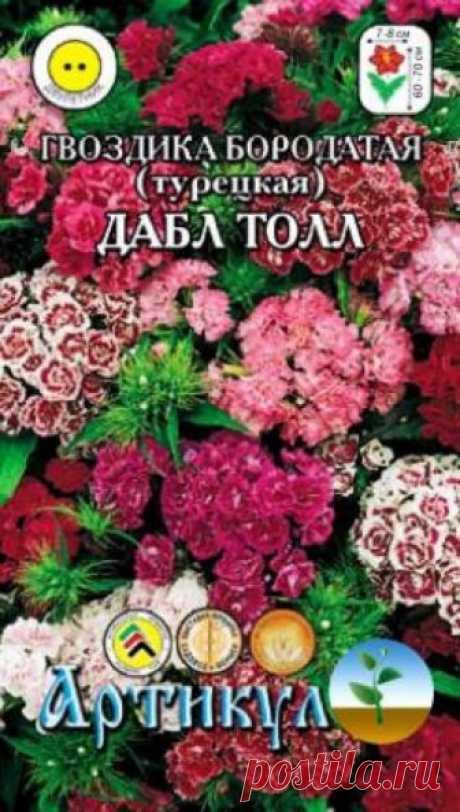 Семена-М / Другие семена / Декоративные культуры / Двухлетние / Гвоздика турецкая