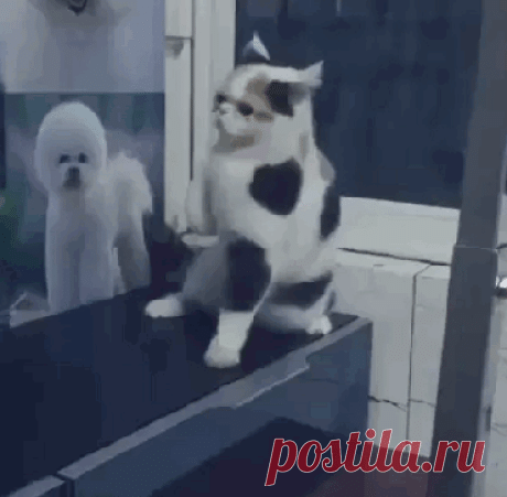 Жил был дед — приколист по жизни....