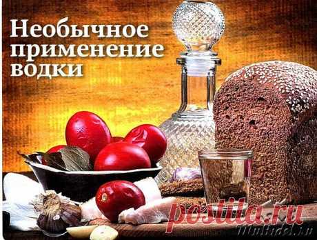 Есть водка в доме? Значит, вы защищены!
25 вариантов использования водки не по назначению! Есть водка в доме? Значит, вы защищены!