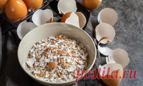 Какие продукты вызывают аллергию?