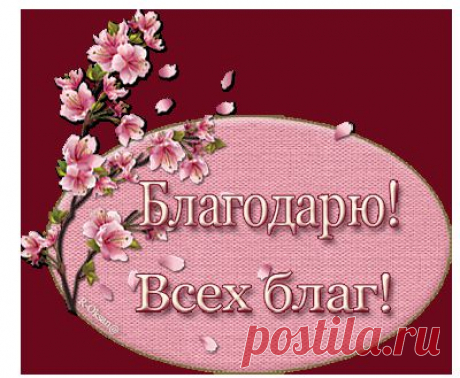 ⋘ Открыточки для комментариев ⋙