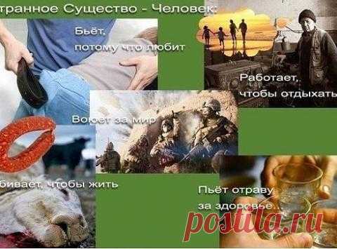 странное существо - человек!