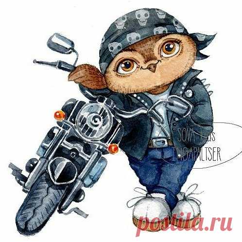 сова байкер