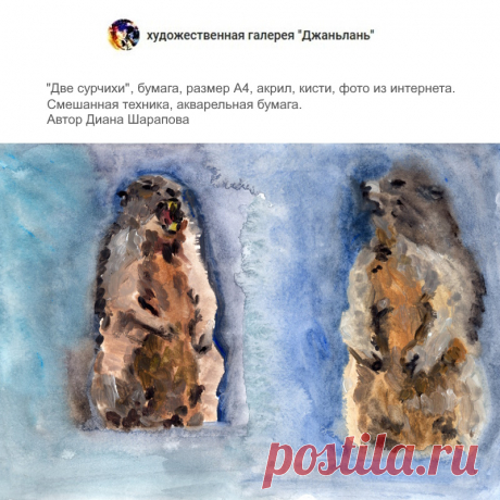сурчихи