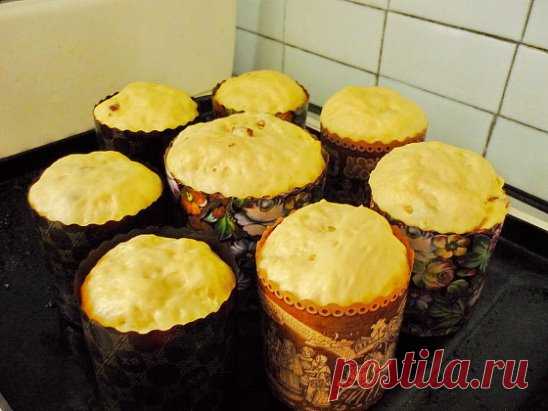 Тесто для вкусного пасхального кулича в духовке
Этот рецепт в прошлом году рассказала мне свекровь. Я попробовала.
Куличи получились волшебные! В этом году буду делать по тому же рецепту. 
Делюсь и с Вами. Необходимые ингредиенты для теста вкусного кулича в духовке теплое
молоко - 2 ст. + 2 ст. л. яйца - 6 шт. сухие дрожжи - 1 ст. л. сахар - 2 ст.
сливочное масло - 230 гр. соль - 0, 5 ч. л. сметана - 0, 5 ст. ванилин - 1
упаковка мука - 9 ст. изюм - 150 гр. Теплое молоко выливаем в глубокую миск