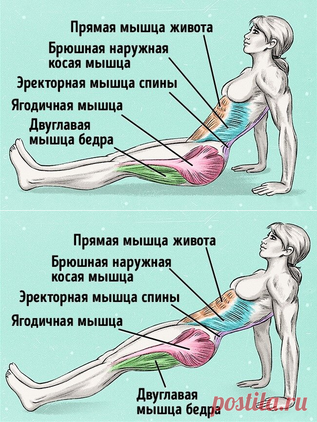 Всего одно упражнение, чтобы сжечь жир и исправить осанку