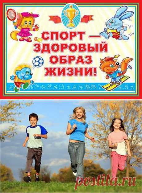 здоровый образ жизни Эффективное похудение