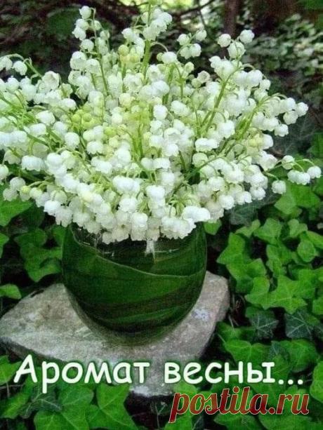 Группы | Facebook