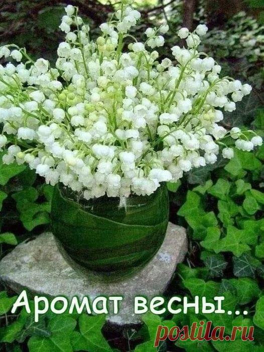 Группы | Facebook