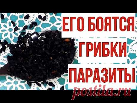 Сосед был прав. Его боятся грибки и паразиты в организме.