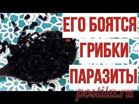 Сосед был прав. Его боятся грибки и паразиты в организме.