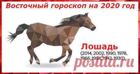Восточный гороскоп на 2020 год Лошадь: женщины и мужчины