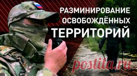 Обезопасить гражданское население: как происходит разминирование территорий в зоне СВО. Освобождённые российской армией населённые пункты в зоне СВО усыпаны боеприпасами и минами, оставленными боевиками ВСУ. Задача по их обезвреживанию лежит на российских военно-инженерных войсках. По словам сапёров, ВСУ разбрасывают взрывоопасные предметы в основном дистанционно. Особую опасность представляют малогабаритные кассетные боеприпасы, которые дети могут принять за игрушки. О том, как происходит…