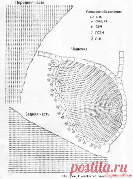 7734291_41471.jpg (519×699)
