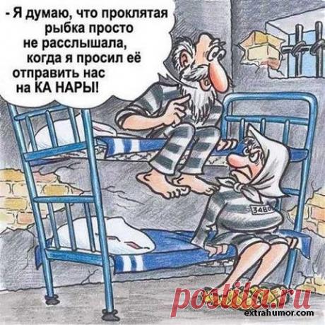 САМОЕ ИНТЕРЕСНОЕ ✦ ЛУЧШЕЕ ВИДЕО