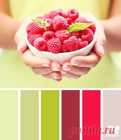 Design Seeds® | find your palette