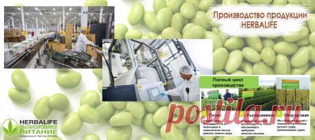 Производство продукции Гербал | Herbal отзывы