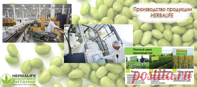 Производство продукции Гербал | Herbal отзывы