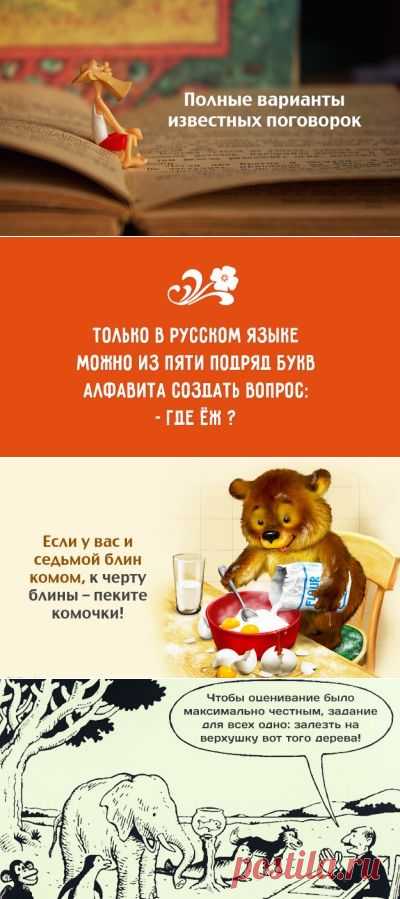 Полные варианты известных поговорок &#8211; Фитнес для мозга