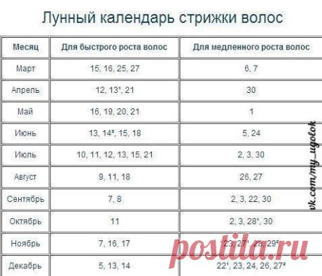 Новости
