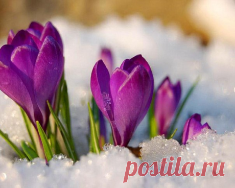 Фотографии на стене сообщества | 32 881 фотография | ВКонтакте