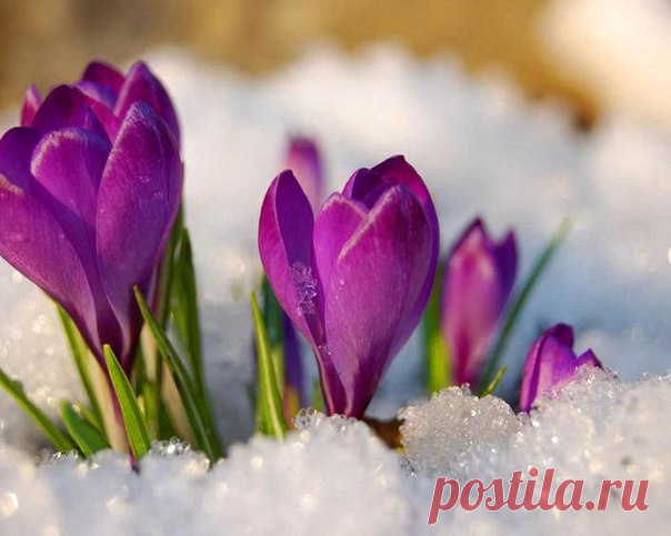 Фотографии на стене сообщества | 32 881 фотография | ВКонтакте