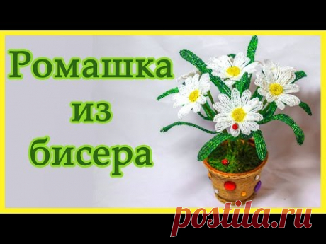 В этом видео я показываю как плетутся ромашки французской техникой плетения.
