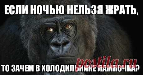 Лига ночных обжор: я просто вышел попить водички и тут понеслось!