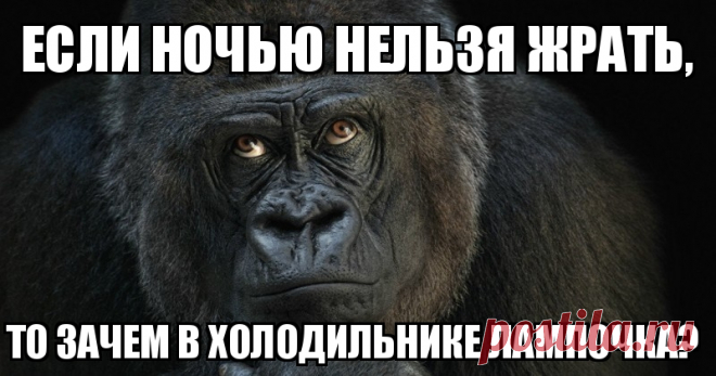 Лига ночных обжор: я просто вышел попить водички и тут понеслось!