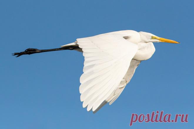 SAM_6169-Edit Explore Scott Alan McClurg's photos on Flickr. Scott Alan McClurg has uploaded 10540 photos to Flickr.