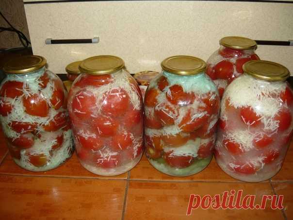 Помидоры 