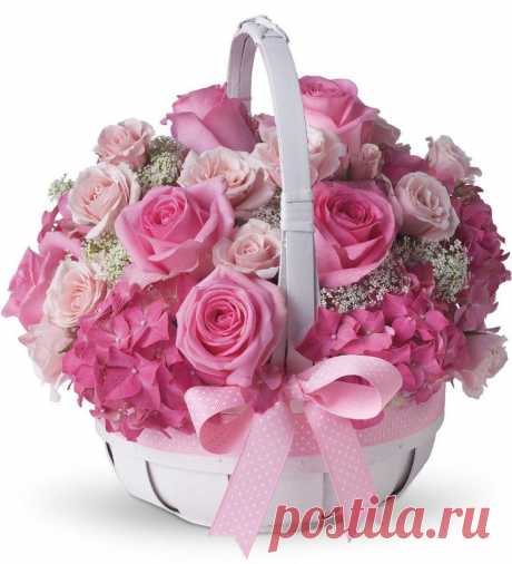 Одноклассники