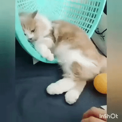 Обиделся...