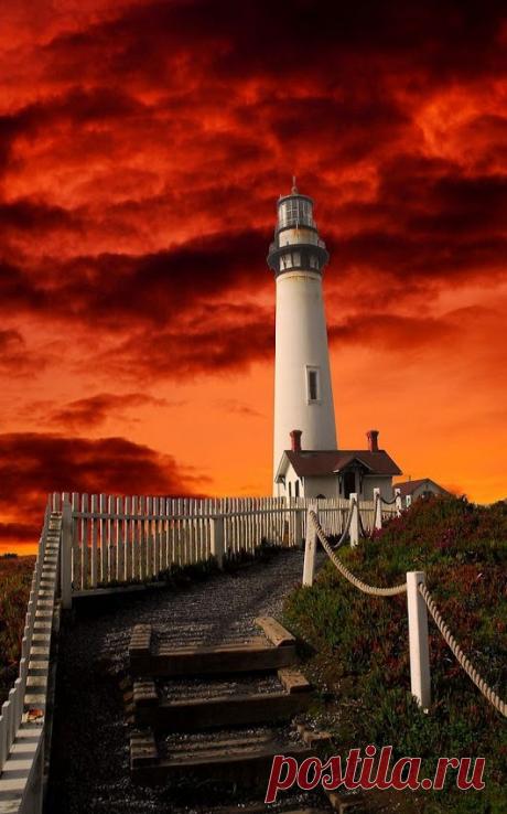 crisvesan:
“Bello…
”