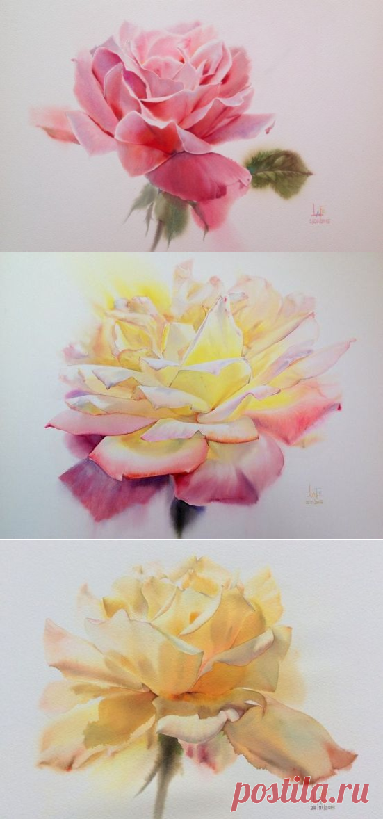 Акварельные розы тайского художника ЛаФе