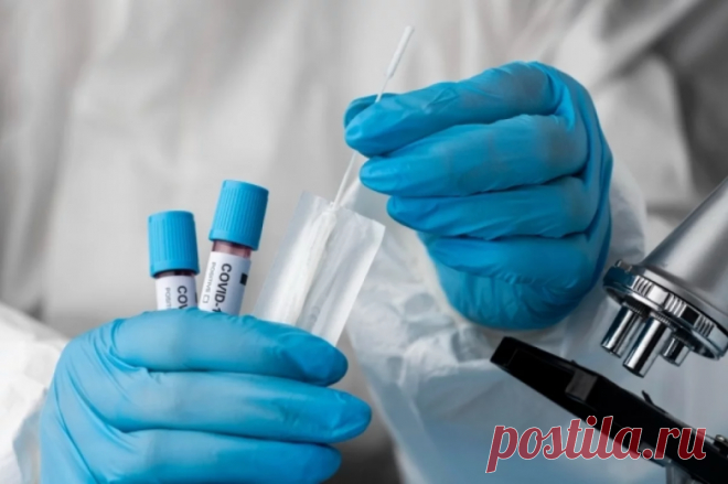 Турская назвала страны, в которых можно заразиться лихорадкой чикунгунья / Будьте здоровы