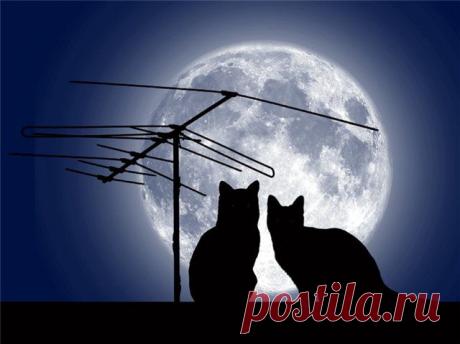 ИСЦЕЛЕНИЕ В ПОЛНОЛУНИЕ. С полнолунием связан ритуал, позволяющий войти в поток убывающей Луны и избавиться почти от любой бо­лезни. Для этого после полнолуния в шестой лунный день надо увидеть, находясь на открытом воздухе, Луну на ее вос­ходе. Затем встаньте спиной к Луне, широко расставьте ноги, нагнитесь и посмотрите на Луну в этом положении.