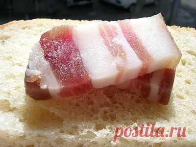 Что такое осень — это Сало!.. — Всегда в форме!