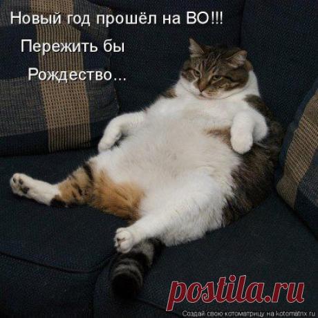 (1) Одноклассники